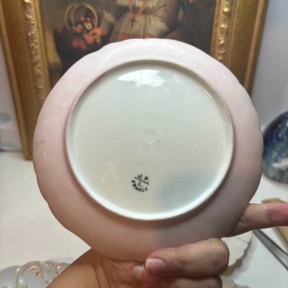 6 Hand Painted Plates Wetland Scenes Vtg J.P. Limoges France 6”W - Picture 10 of 16